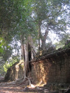 Ankor_wat-Tag_2-538